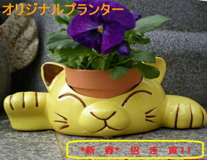 R[i[LIv^[ @v^[@v^[@Aj}v^[@Aؔ@eRb^@K[fjO 傤