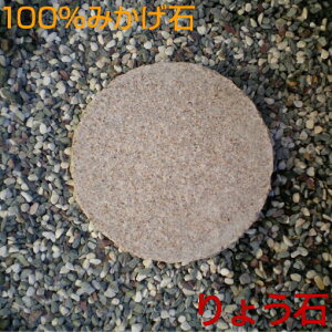 XebvXg[ ѐ 5Zbg 󂠂 outlet @dグ ~ ݐ  ݂ 傤 100%e