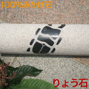Ԏ~߁K[WŃrbNI킪̎Ԏ~߁IڒEHsvEuȒPJ[Xgbp[􍂋݂΁ 傤  2Zbg fUC