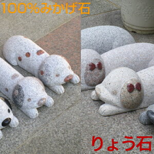 Ԏ~ lC̓V[Y 1{(C)  Aj} Xgbp[ ΍ _VA ݂ 傤 100%e uȒP  fUC