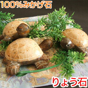킢T̒u IuWF y[p[EFCg ̂ЂTCY 嗝 傤