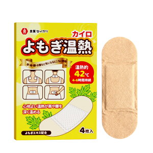 ǎZCJc CMJC MV[g EEEɒړ\^Cv A4-6Ԏ tzi g ɂ݌y Mtg ₦΍