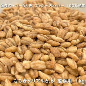 Orge もち麦シリアル6.6 業務用 1kg 高 β-グルカン 無添加 グラノーラ もち性大麦品種 ワキシーファイバー 100% 使用 国産 大麦 もち麦 業務用 シリアル スーパーフード スーパー大麦