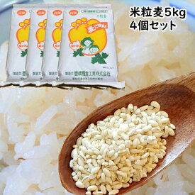米粒麦 5kg 4個セット【 業務用 】 国内産 100% 麦ごはん 麦ご飯 麦飯 【選べるおまけつき】