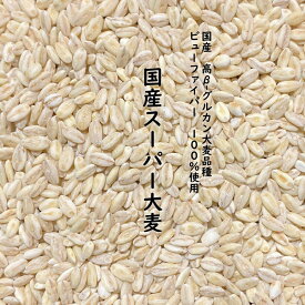 【 地域限定送料無料 】国産スーパー大麦 ビューファイバー 900g 愛知県産 高β-グルカン大麦品種 ビューファイバー 100% β-グルカン値 12.3g/100g中 麦ごはん 麦飯 雑穀米 雑穀