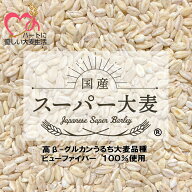 【楽天スーパーSALEおひとり様2個まで】大麦 国産スーパー大麦 ビューファイバー 900g 【単品】 愛知県産…