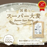 大麦 国産 スーパー大麦 国産スーパー大麦 ビューファイバー 900g 【送料無料】 愛知県産 高β-グルカン…