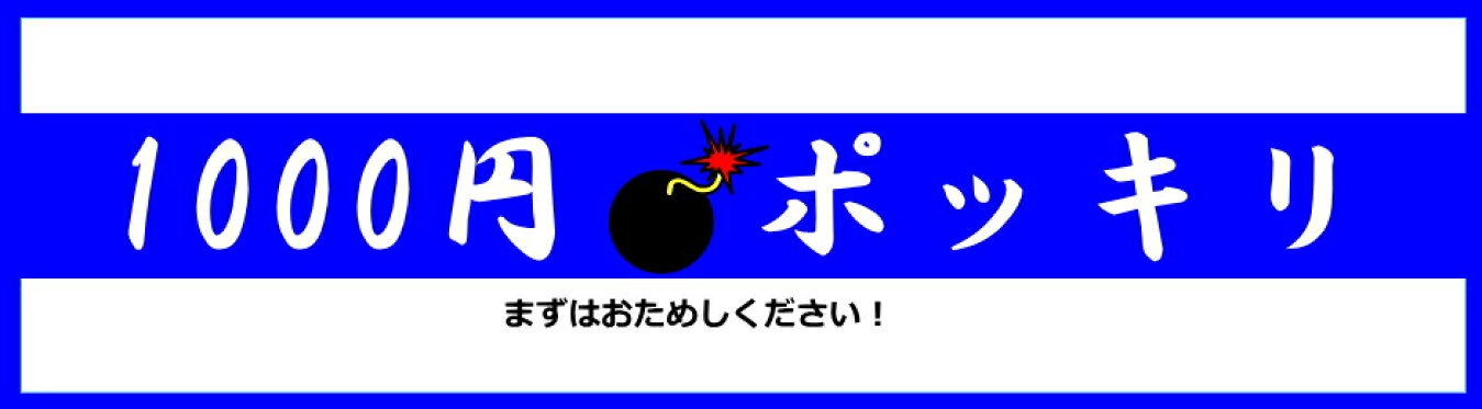 1000円ポッキリ