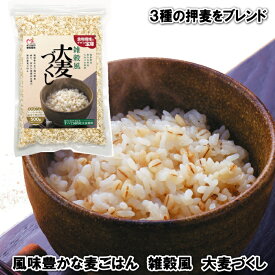 大麦づくし500g【単品】