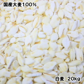 白麦 20kg【 業務用 】国内産100%麦ごはん