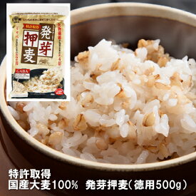 【楽天スーパーSALE】お一人様2個まで　発芽押麦 500g 【単品】 麦ごはん ギャバ 食物繊維 発芽 健康志向 押し麦 大麦