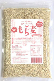 もち麦 500g 単品大麦専門店のもち麦 使いやすいチャック付袋 嬉しい500g入り！大麦 麦ごはん 丸麦 麦飯 麦ご飯 スーパーフード