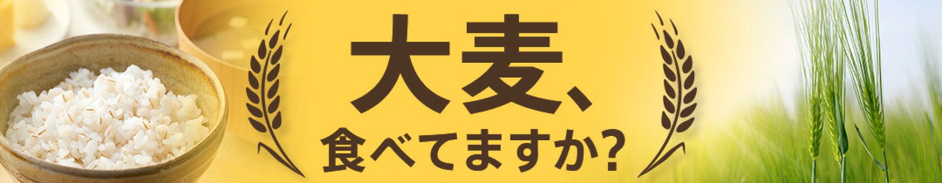 大麦、食べてますか