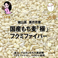大麦 もち麦 国産もち麦 「極」 フクミファイバー 900g 【送料無料】 岡山県産 フクミファイバー 100% 産…