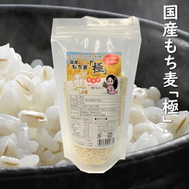 国産もち麦 「極」 300g 岡山県美作市産 フクミファイバー 使用 大麦β-グルカン 13.8g/100g中 / 高β-グルカン 国産もち性大麦品種 フクミファイバー 100%