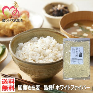 _ 1000~|bL^y n著 zY 900g iu zCgt@Co[ v 쌧Y H꒼ 唞 H@   It ͂ 