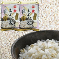 大麦 もち麦 国産もち麦 400g 2袋入り 【ネコポス 送料無料】 精麦工場直送 国産 食物繊維 腸活 糖質制限…