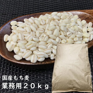 y Ɩp zY20kg Ntgܓi킨܂ H꒼ Y H@  It  G 20Ly z  z