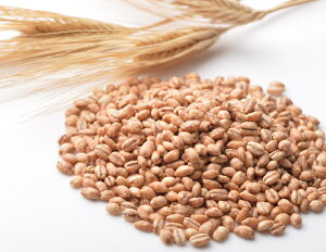 Orge 大麦シリアル3.3 無添加 グラノーラ 業務用 1kg 国産 大麦 シリアル スーパーフード
