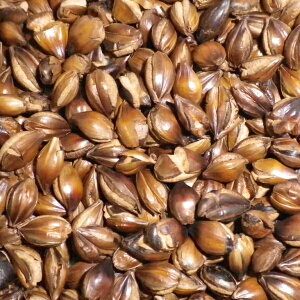 y蔠zY  10kg y  zy p z 唞  o