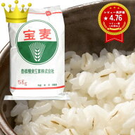 大麦 押麦 国産 特選 押麦 5kg 国内産100% 大麦 工場直送 麦飯 麦ごはん 麦ご飯 スーパーフード 腸活 糖…