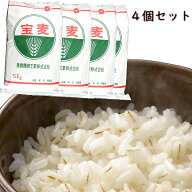 大麦 押麦 国産 20kg 特選 押麦 5kg 4個セット 業務用 工場直送 国内産100% 麦ごはん 麦飯 麦ご飯 スーパ…