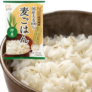 yPizI  800g Y100 H꒼  ͂ Y  