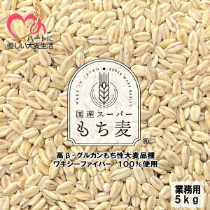y  zYX[p[ LV[t@Co[ 100%  5kg H꒼ mY -OJ唞i -OJl 13.5g/100g Ɩp