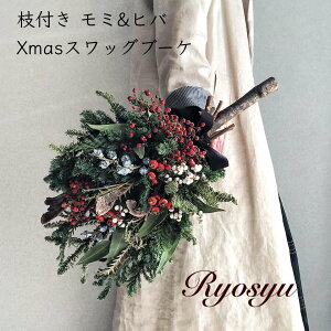 y NX}X hCt[ } XbO u[P z  50cm ݂̖ qo [J̎ NX}XJ[ k ~   Ǌ| EH[fR[V ؂̎ CeA 