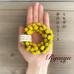 y ~U ̂Ђ [X z  i  ~j[X SSTCY a10cm  v[g Mtg a ̓ ̓ v`Mtg i`  v[g CeA 