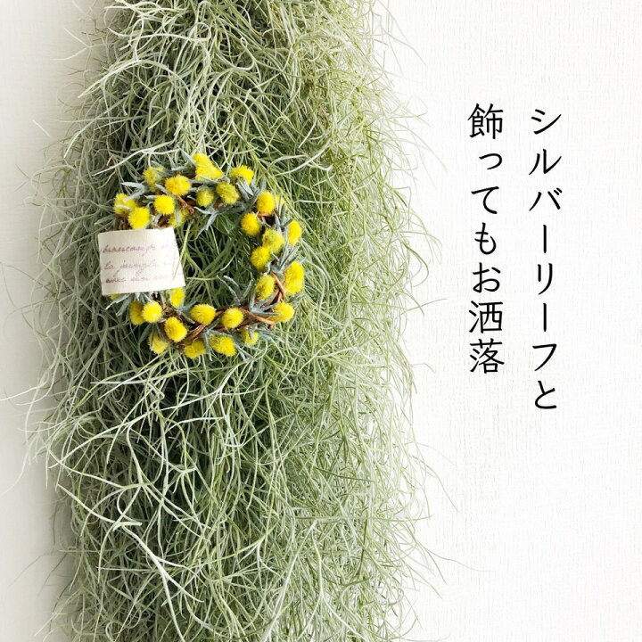 楽天市場】【 ミモザ 手のひら リース 】 送料無料 高品質 造花 ミニ  