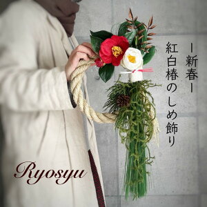 y   fUCi[Y ߏ z  g  Vv  V 傫   X T c 50cm [X _ Ǐ ߓ ~xx Mtg v[g VN F