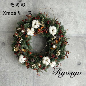 y ~̖ O[ hCt[ NX}X [X z  40cm ؂̎ ~ hA[X   k  hA i` Ǌ| CeA Mtg v[g  JXj 