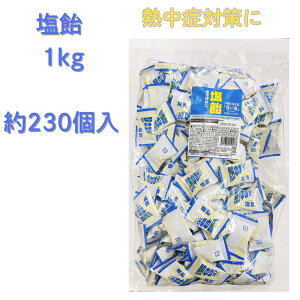 ht@Ng[ 1kg  Ɩp   e X|[c ⋋  C C LfB 230 1kg MǑ΍  O ܂Ƃߔ ۑsgp lC `[