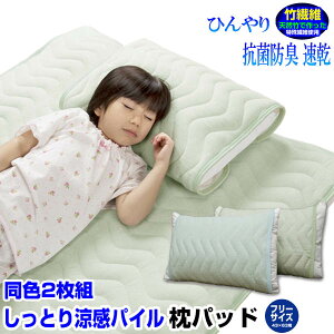 yyz ڐG⊴ Jo[ 43×63cm Ђ薍pbhVR|ō@ Ђ^In pbhF2g 43×63cmpN[Q ЂQ  Jo[Ђ sP[X ⊴ 