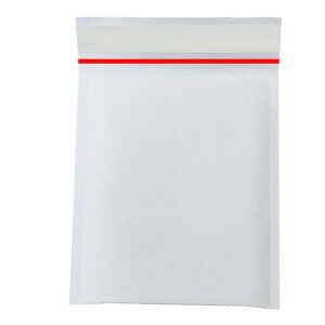 NbV#5TCY B4Ή100O 287x406mm  267x406mmzpɏՍޕGALbvtzCgɖ{e[vrfIȂǏꔭpi zpNtgNbV zܖh
