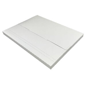 [֐pP[X A4TCY 100yEMS-BOX-A4z(23.5CM 32.5CM 1.9CM) R[g{[450g/ z   zܗp    ב z֑}փI[NVוʔ