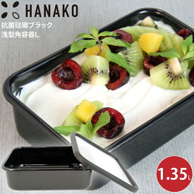 保存容器 HANAKO 抗菌 琺瑯 ブラック 浅型 角容器 Lサイズ 1.35L AD-L.BK 4589926622030 保存 食材入れ 黒 ブラック 抗菌 シンプル 衛生的 琺瑯容器 冷凍 冷蔵 加熱 オーブン ハナコ