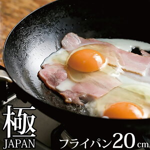 リバーライト 極 JAPAN 鉄 フライパン 20cm 【IH対応】【日本製】 JAN: 4903449125029 【送料無料】