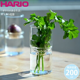 HARIO ハリオ 花瓶 「ガラスのある生活」 ガラスの花器 クリア GK-200-T 4977642040144 花 球根 水耕栽培用 2way 清潔 ガラス インテリア おしゃれ 硝子