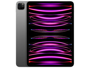 �A�b�v�� iPadPro 11�C���` ��4���� WiFi 2TB �X�y�[�X�O���C SIM�t���[