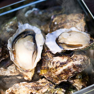 LỹJJĂ Ⓚkt1.6kg(12`20)AREiCtt yz