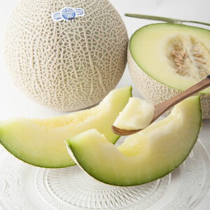 NE[1](ʔN) 1.3kg×1(ÉY) ͂̂w͂󂯂ł܂ yz