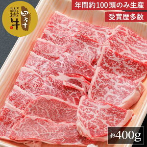 l\ ґȐ؂藎Ƃē400gyz