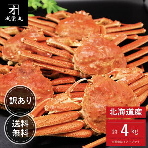 kCY 󂠂IIYCKj 4kg TCY i1t300g`j 