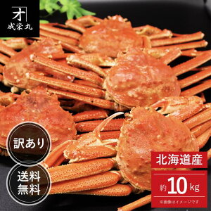 kCY 󂠂IIYCKj 10kg TCY i1t300g`j 