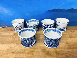 tyΒ^Aؔz_6_Zbg Mt ~ A  뉀   lC CHINA