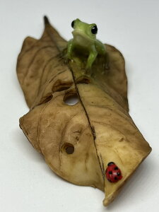 ^V[Yy؂̗tƓV zJG ɋA N u i  CeA IuVF 