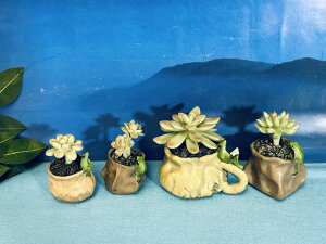 Ay^ AV[Y 4CZbgz ~͂ɃJG ɋA N u i  CeA IuVF 