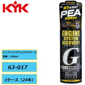 K\GWԗp Rn KYK É͖i GWVXeJo[G 63-017 300ml 1P[Xi24{jRY RP 